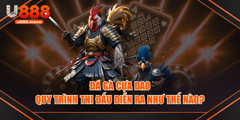 Đá Gà Cựa Dao - Quy Trình Thi Đấu Diễn Ra Như Thế Nào?